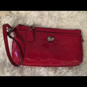 Beautiful wristlet bag